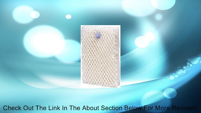 Jarden Consumer-Domestic 3Pk Repl Wick Filters Hwf100-U Humidifier Chemical & Accessories Review