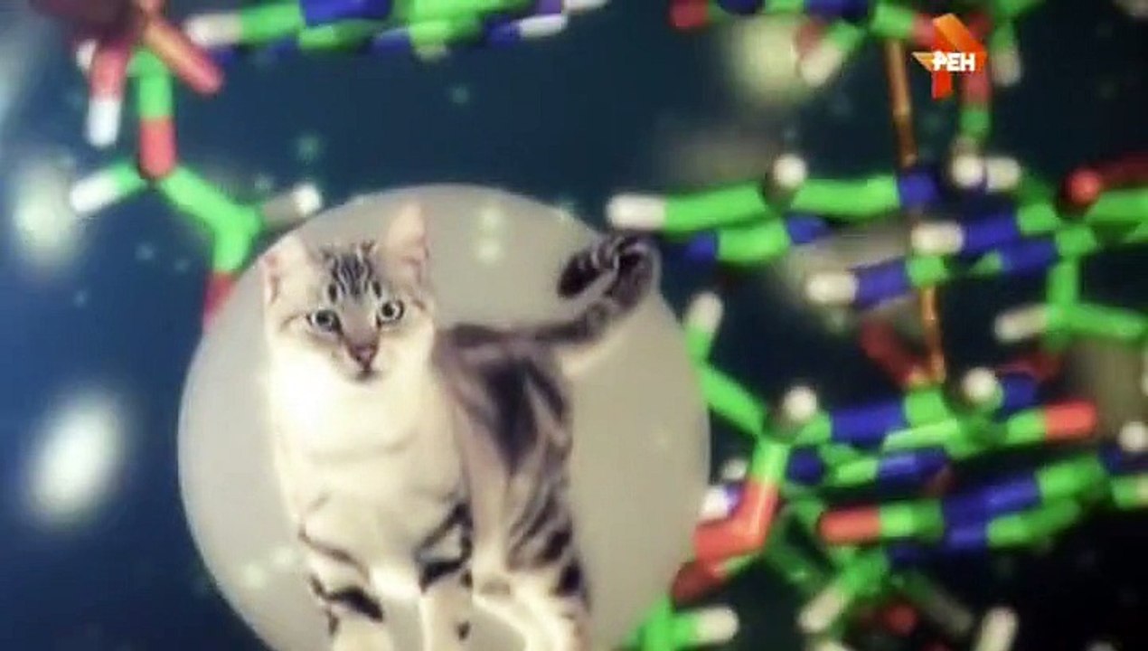 Вселенная на ладони OnlyKinox.ru