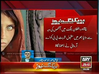 ARY successfully leads searching Mona Liza of East