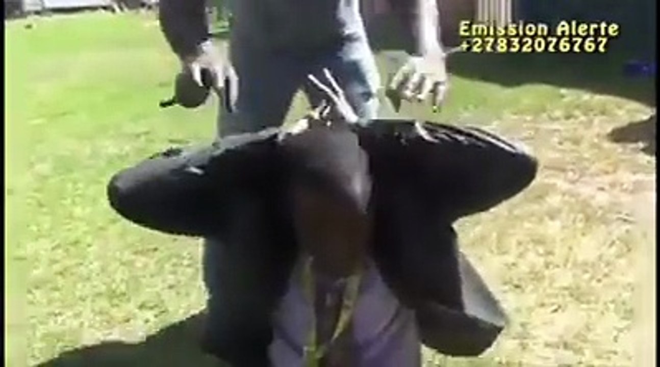 Burkina Computer Pro - BCP: NetPlus Info Alerte Un député pro kabila attrapé par "Les combattants" congolais en Afrique du Sud