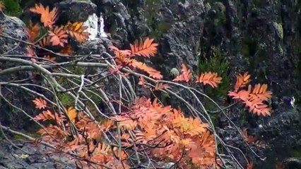 Around Glencoe   highlands   Scotland[1]