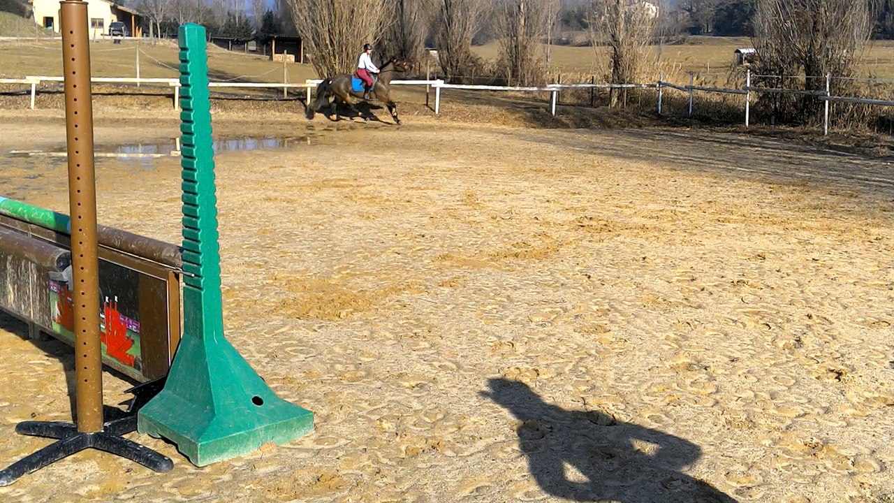 Oriane Glenca cours cso 200215 -2