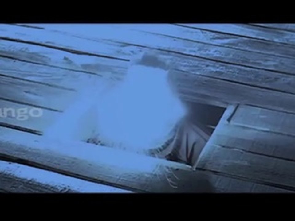 Gabbar Singh Trailer - Pawan Kalyan Shruti Hassan - Fan Made Trailer