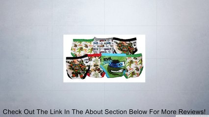 Teenage Mutant Ninja Turtles Toddler Boy's Briefs - 7 Pack (2T-3T) Review