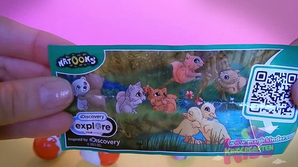 Penguins Madagascar Surprise Eggs Opening