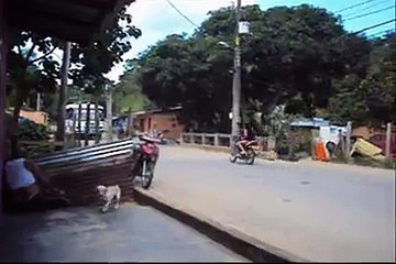 Broma al señor del bus - prank to the bus driver