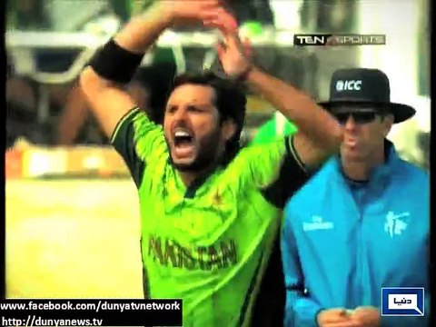 Dunya News - Poets, writers, scholars criticise national team on defeat against West Indies