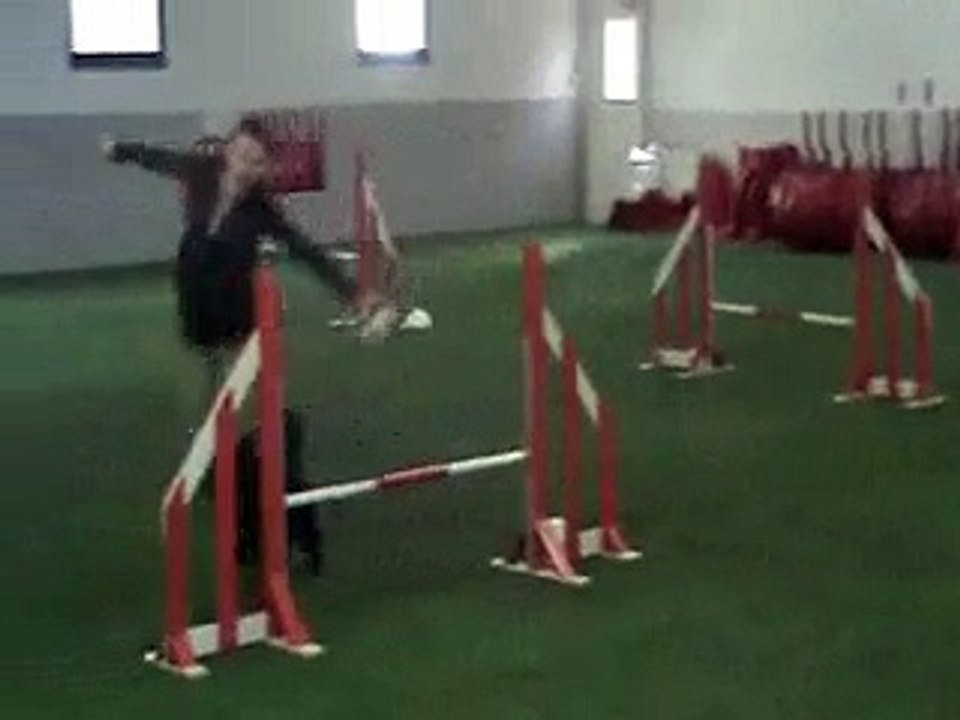 Agility med Bengt 21 feb 2015