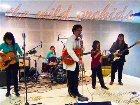 THE WILD ORCHIDS live a Voreppe le 14 fevrier 2015
