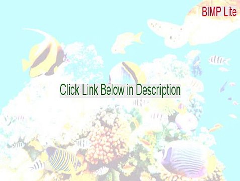 BIMP Lite Serial (bimp lite portable 2015)