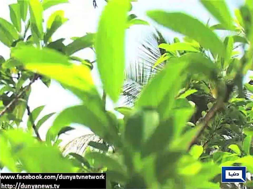 Dunya News - Rain predicted in next few days