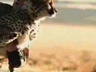 cita yakalama komik reklam