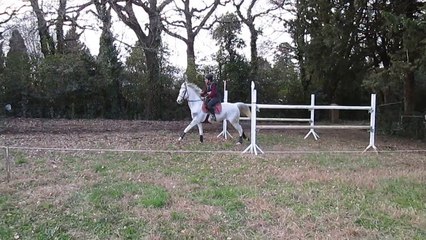Oxand CCE Vedène 20-02-15 - Cross pro4 (1)