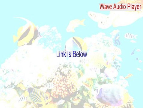 Wave Audio Player/Recorder OCX Serial [Download Now]