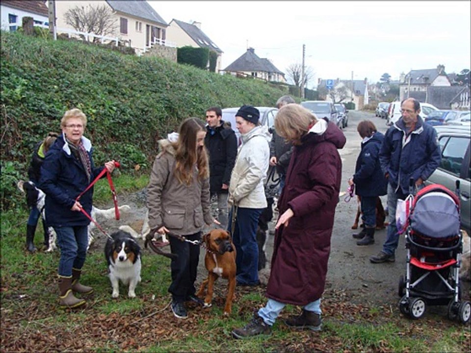 Sortie éducation canine janvier 2015 St Michel en Grève