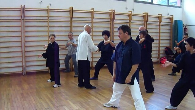 IL M° FLAVIO DANIELE INSEGNA I PRIMI MOVIMENTI DELLA FORMA ANTICA DEL TAIJI QUAN STILE CHEN