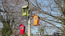 Goldfinches on The Little Orange Bird House Feeder - Goldfinch