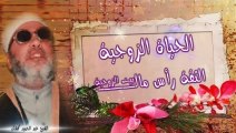 الشيخ عبد الحميد كشك / الحياة الزوجية الثقة رأس مال بيت الزوجية ( 2 )