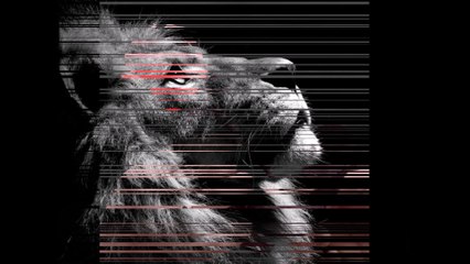 الاديب محمد الجيزاوي....الخمر ما عادت تسكر احدا