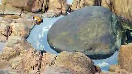 Octopus gets crabby in Yallingup,.,.,. Must watch and share this video,.,.