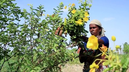 Nourishing India's Tribal Children #ICOMMIT