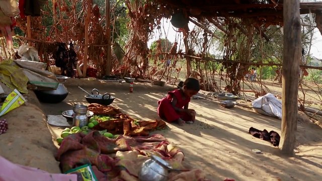 Empower local bodies in tribal areas , says Mr. M S Swaminathan, Geneticist