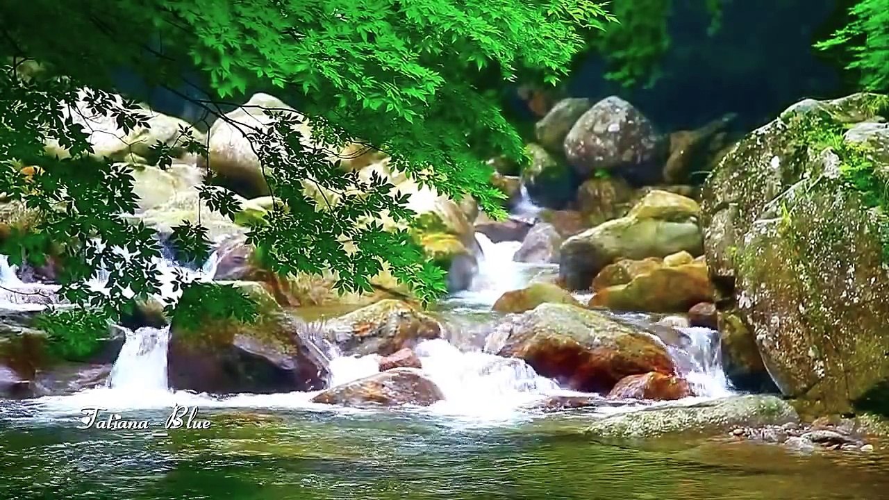 André Rieu - Nightingale Serenade (Toselli Serenade)