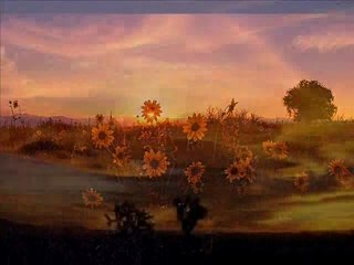 BEAUTIFUL nature environnement reality