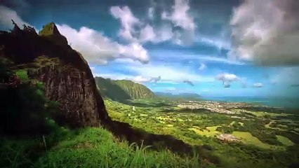 Brian Schatz "Special" Ad