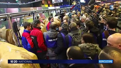 François Hollande en visite marathon au Salon de l'Agriculture