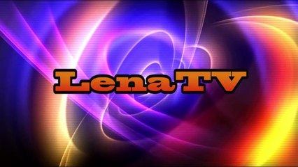 Funny and Cute Animals - Seal Compilation New Video