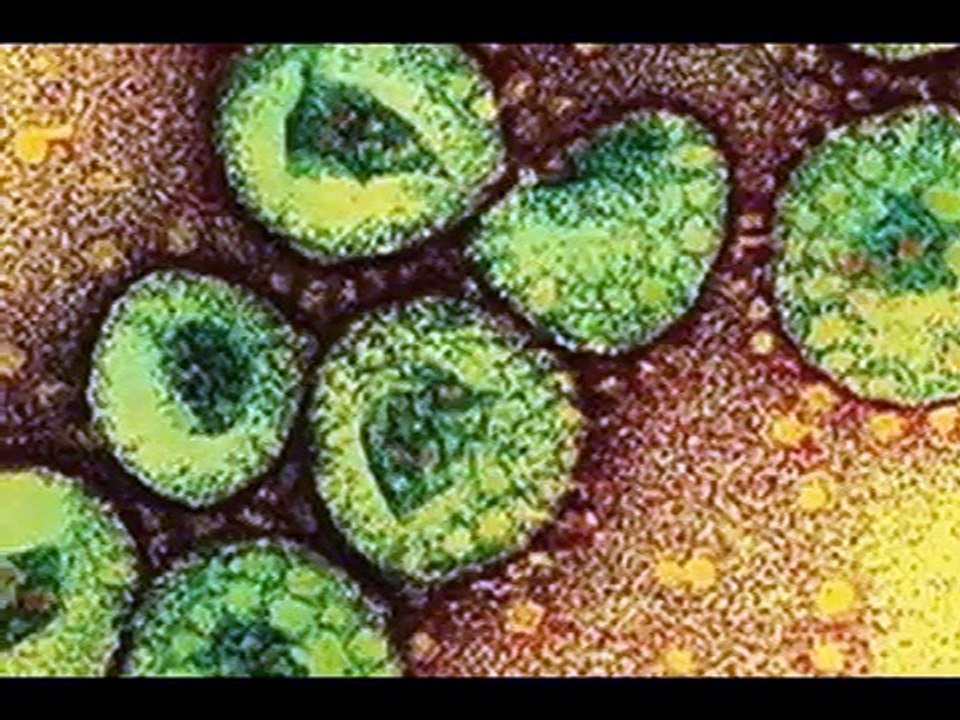 El Coronavirus