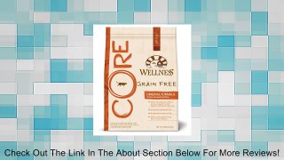 Wellness CORE Natural Grain Free Dry Cat Food Review