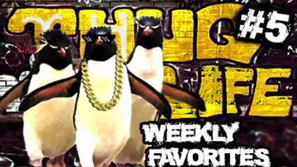 Thug Life Compilation / Weekly Favorites 5