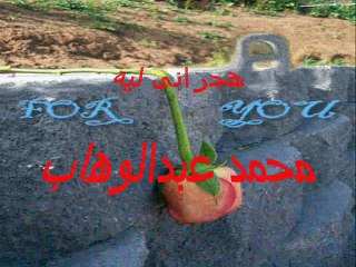 هجرانى ليه - محمد عبدالوهاب