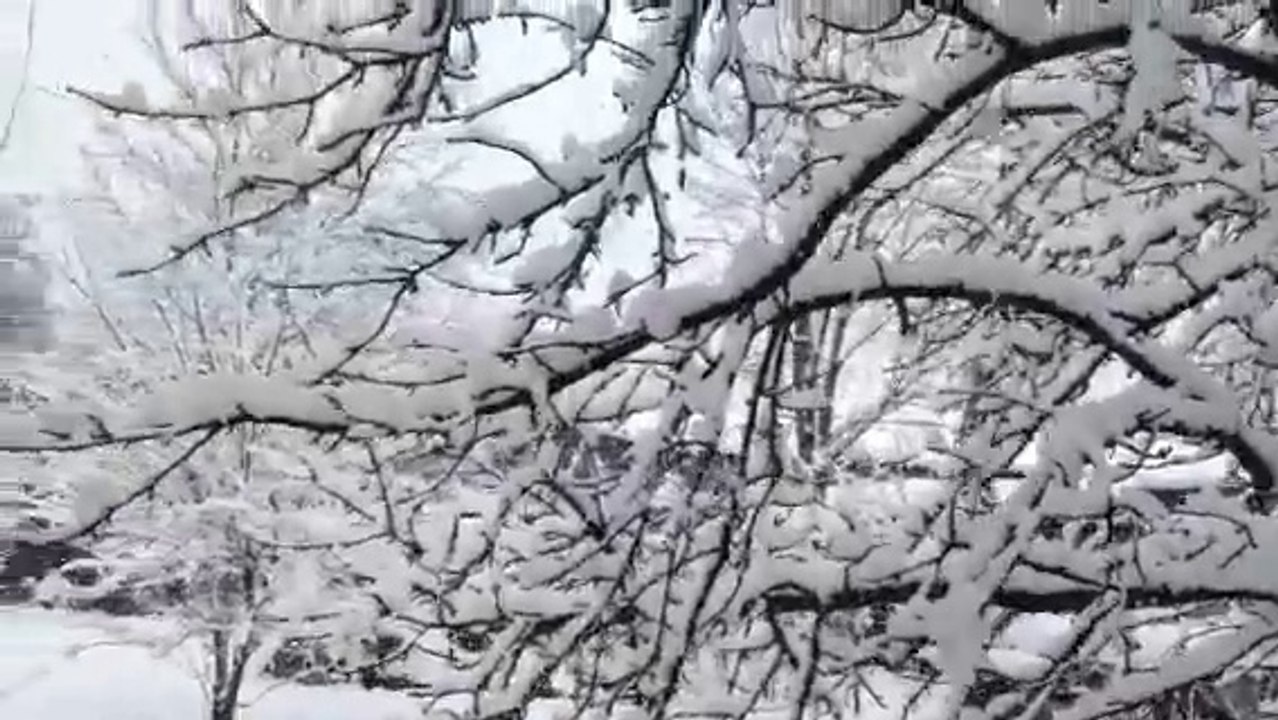 Caroline Thanh Huong filme la neige à basse altitude en France le samedi 21 Février 2015