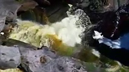 Aamar Bhitor O Bahire-Durbadal