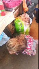 This 5-Year-Old Girl Sneaked A Baby Cow Into Her Home To Cuddle With It