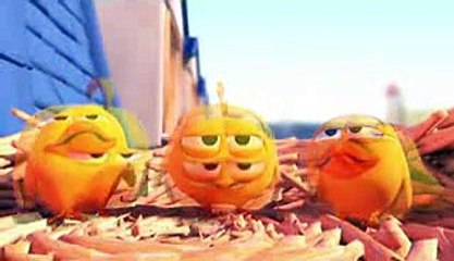 Pigeons - Cute animation cartoon