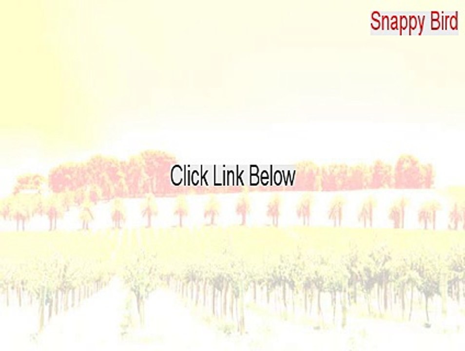 Snappy Bird Full (Instant Download 2015)