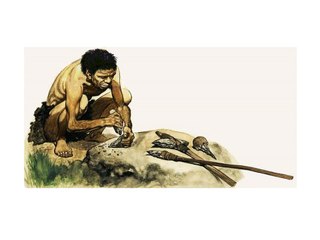 History :: Lesson 02 : Stone Age