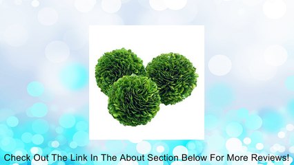 Mills Floral Company Boxwood Ball 4" Review