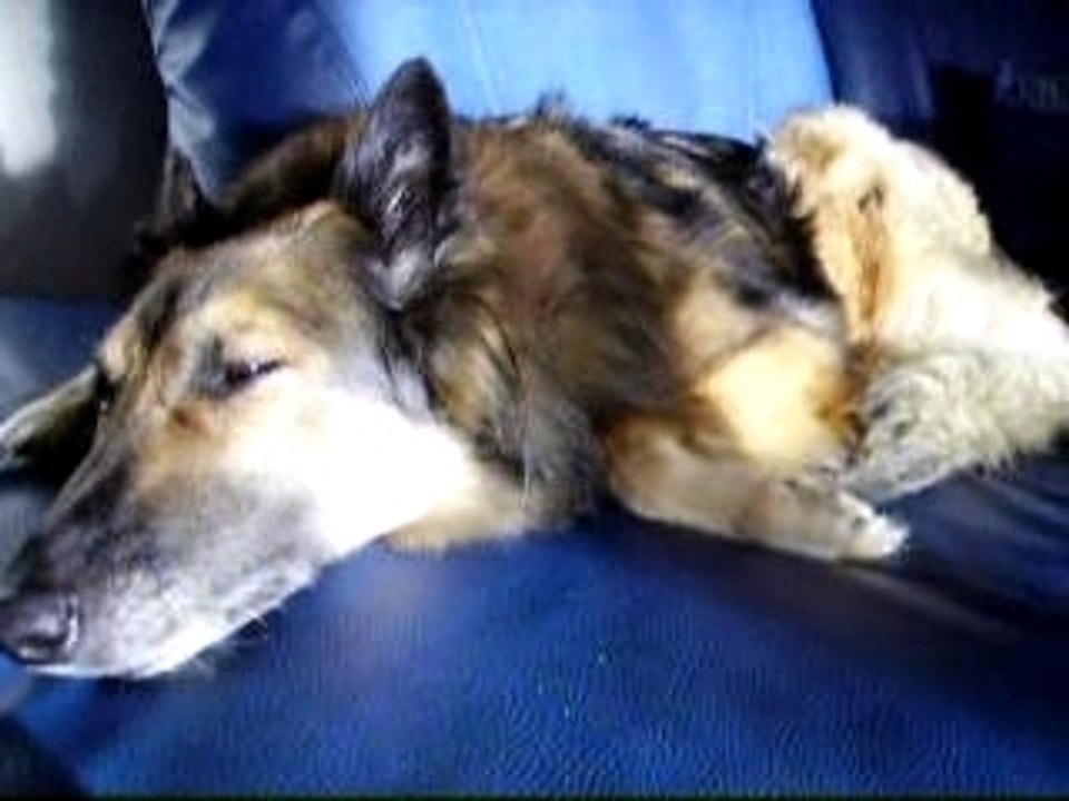 Mirka sieste canapé