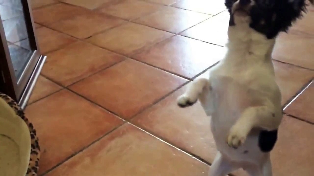 Funny Videos hot 2015