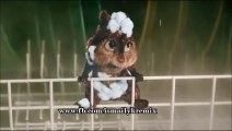 Alvin Duş'ta İsmail YK'nın Bırakmadım Seni Şarkısını Söylüyor (Alvin Shower)