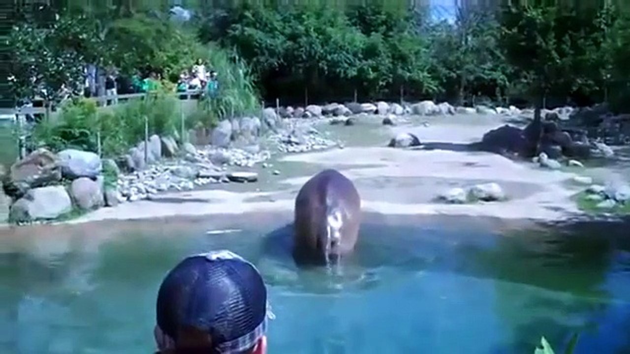 aux zoo ,Mais l'inévitable se produit mais soudain