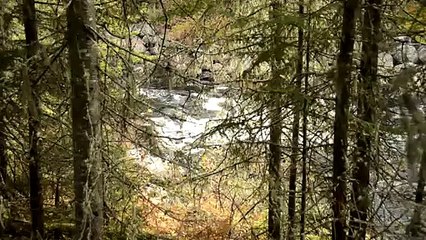 _DSC4203 Seigneurie du Triton, la rivière Batiscan passe dans le Lac aux Biscuits