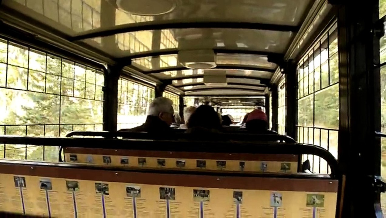 _DSC4478 Saint-Félicien zoo sauvage, en petit train grillagé