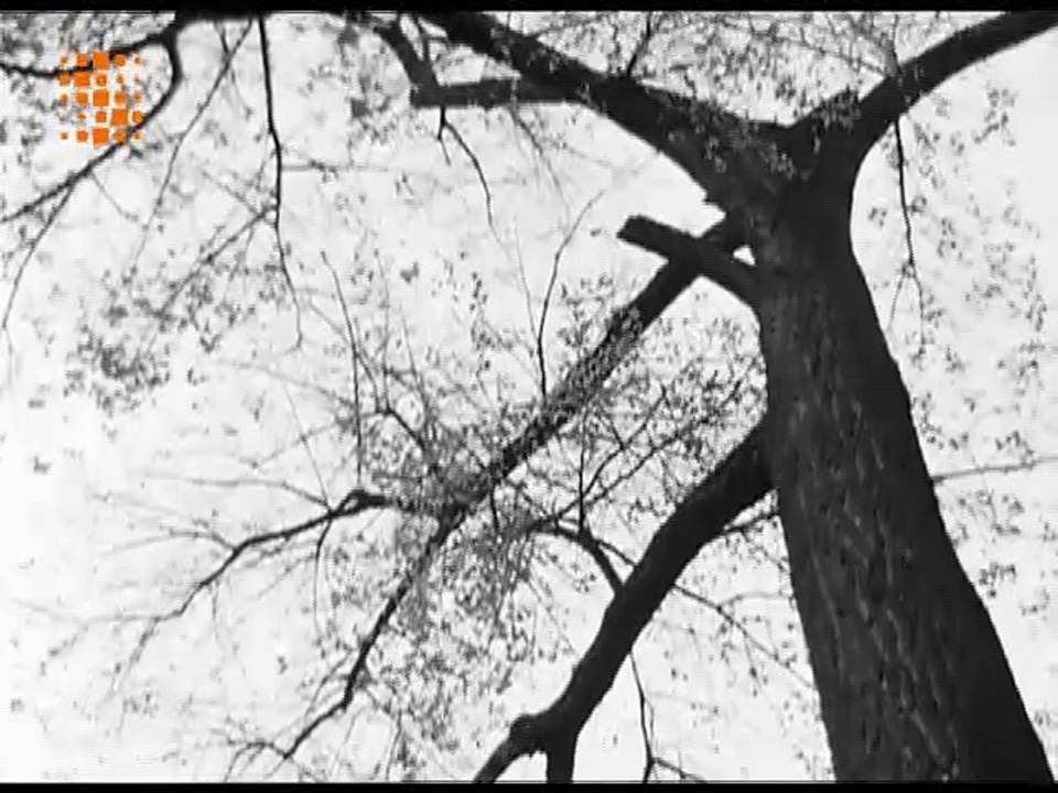 SOUPAULT ET L'ÉCRITURE AUTOMATIQUE