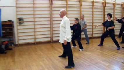 I SEGRETI DEL TAIJI QUAN: GENERARE L'ONDA INTERNA - M° FLAVIO DANIELE